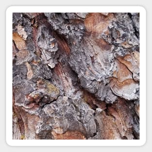 White Fir Tree Trunk Sticker